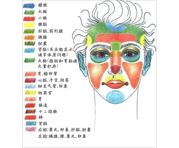 长痘痘的位置图解,一张图了解不同位置痘痘原因