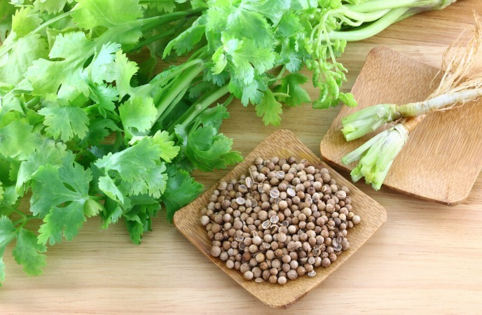 how-to-get-rid-of-freckles-Coriander.jpg